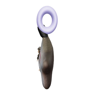 Moon Dancer Charm
