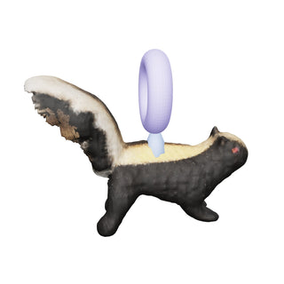 Skunk Charm